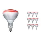 Mehrfachpackung 10x Philips BR125 E27 Reflektor 250W | Infrared